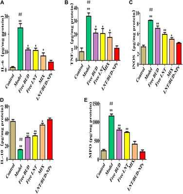 Lentinan-Based Oral Nanoparticle Loaded Budesonide With Macrophage-Targeting Ability for Treatment of Ulcerative Colitis